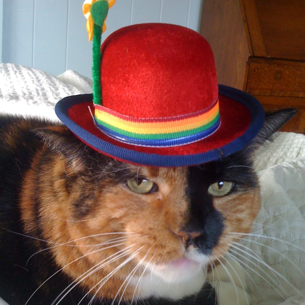 ❤️❤️❤️ OFFERS for LIKES ❤️❤️❤️